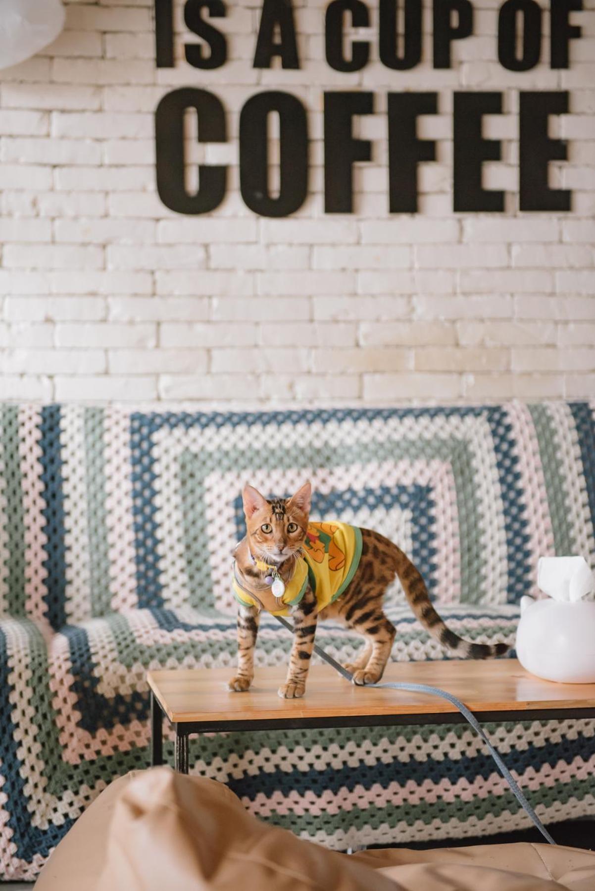 Cazz Hostel Bangkok Luaran gambar